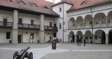 Zamek w Niepołomicach